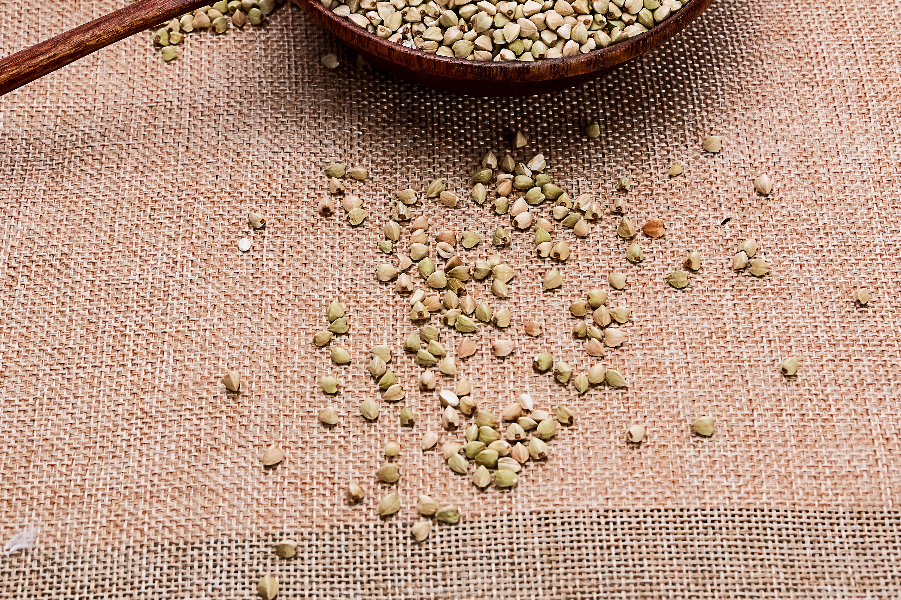 菏泽成武 东北五谷杂粮拍摄 摄影 农家 三角荞麦 (十)