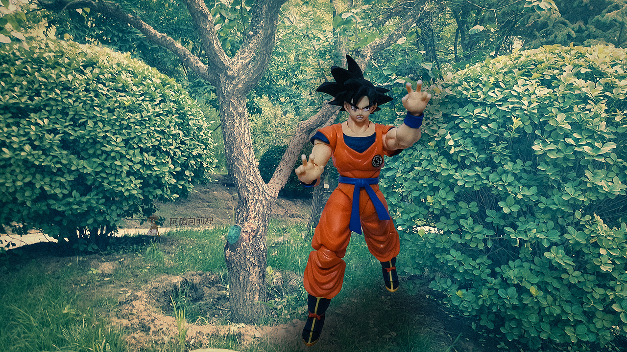 SHF悟空弗利萨手办三次元一日游，本来恩爱转眼就开打