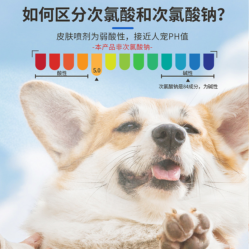 海报主图之类