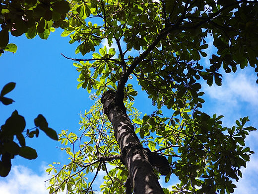 徕卡M8记录周末生活点滴……