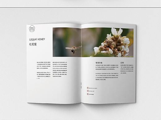 瑞康蜂業(yè)畫冊(cè)（個(gè)人主頁(yè)-ZNTQyOTcxNDQ=） - 書籍/畫冊(cè) - 站酷設(shè)計(jì)師阿初耶原創(chuàng)素材 - 站酷ZCOOL