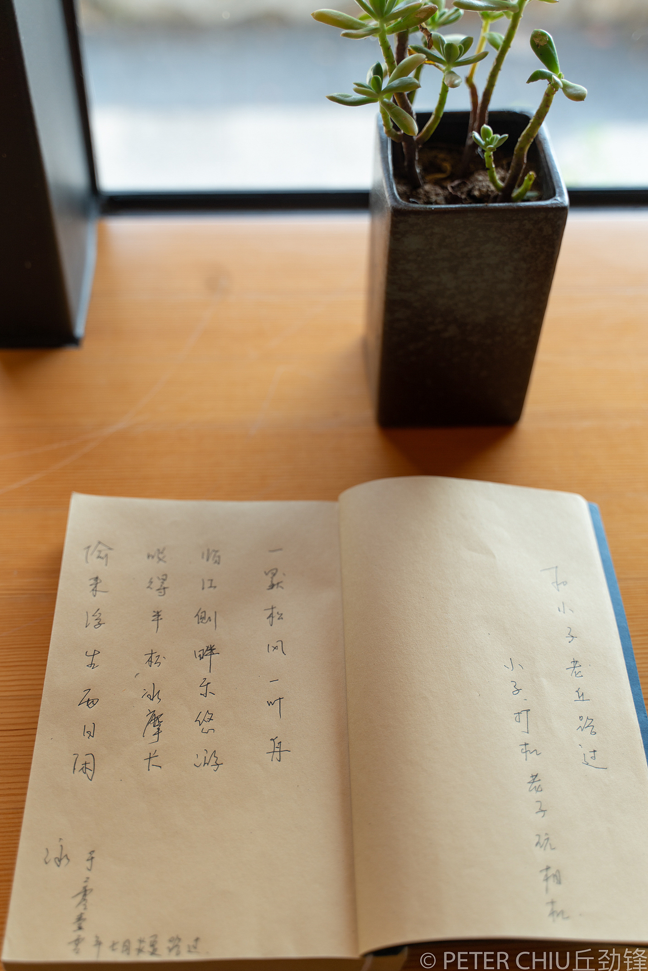 清远“一默松风”