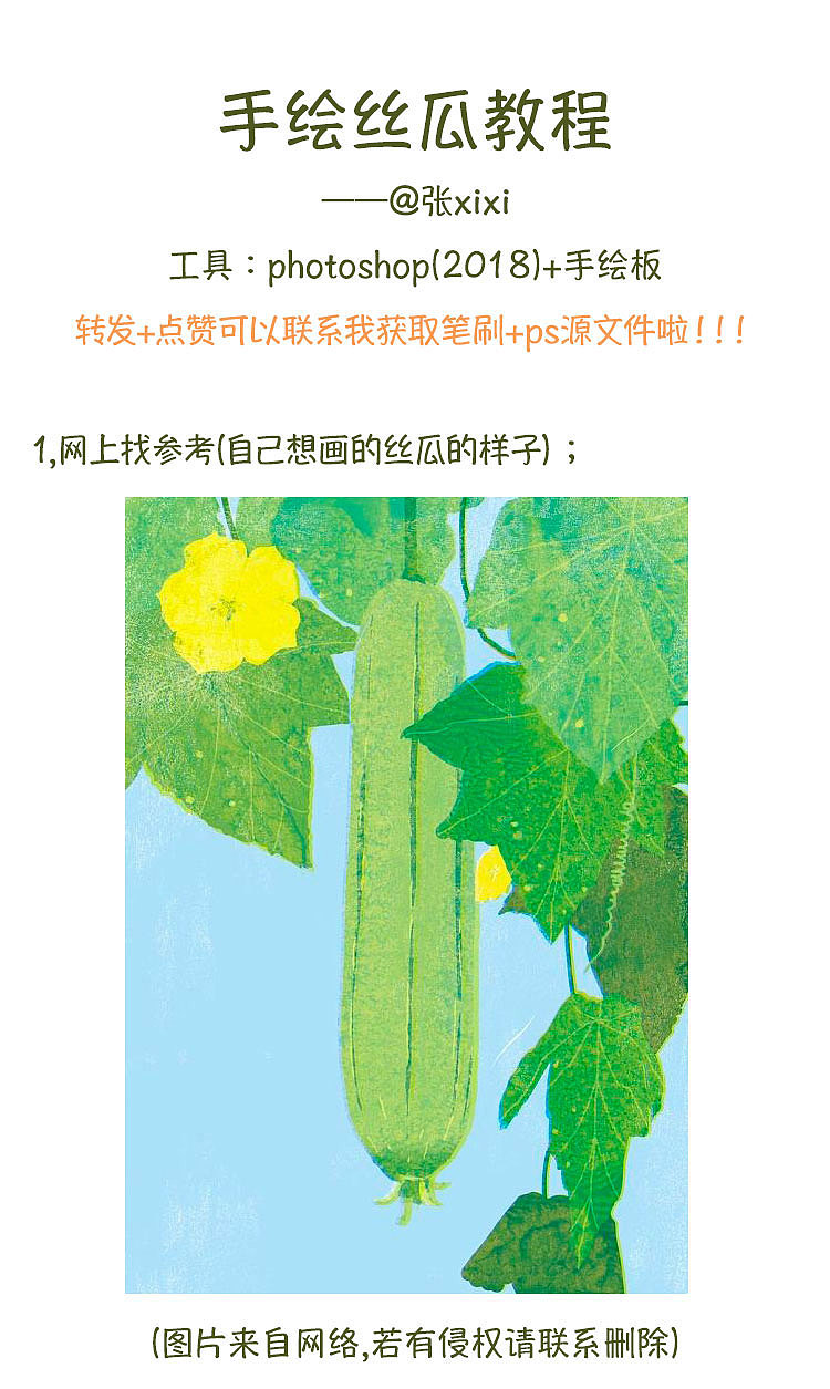 张xixi的插画教程第2弹-手绘丝瓜（图ZMTU3MDg2NDg0） - 创作习作 - 站酷设计师张嘻嘻的秘密花园原创素材 - 站酷ZCOOL