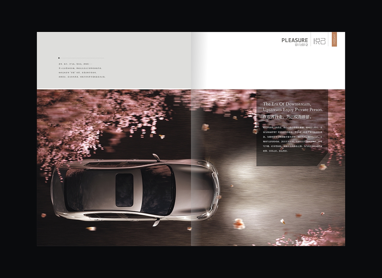 理想镇楼书一本