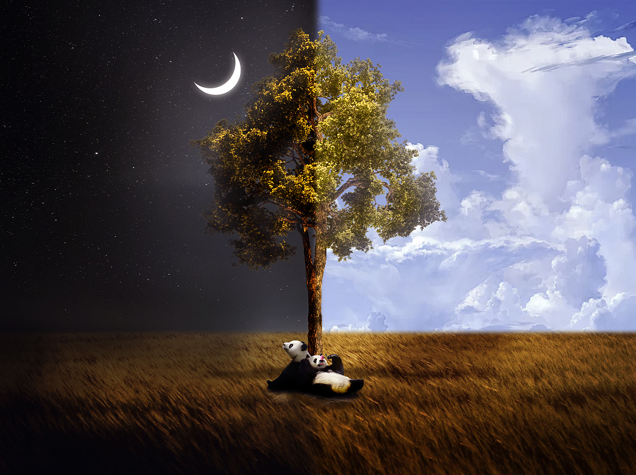 PS合成（图ZMjE5MTAyMDYw） - 海报 - 站酷设计师XU若曦原创素材 - 站酷ZCOOL