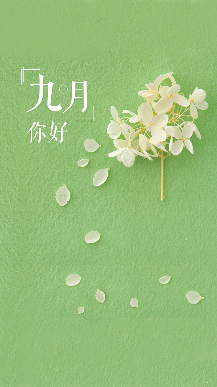 九月-清新文艺插图