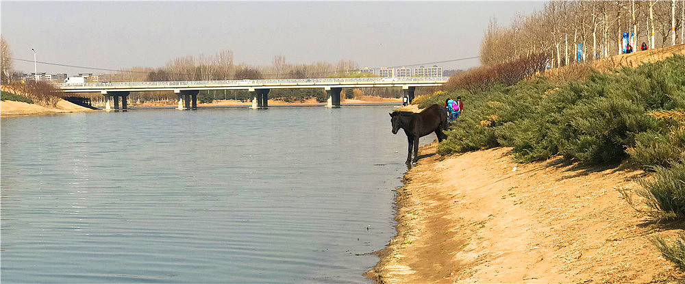 刘勇良手机纪事摄影:风景如画好去处