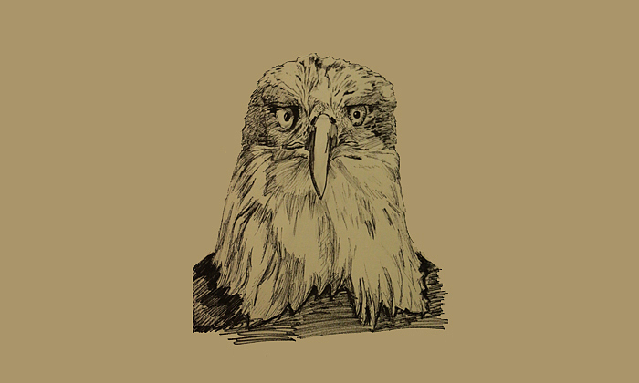 自己画的一些手绘.本子上的练习