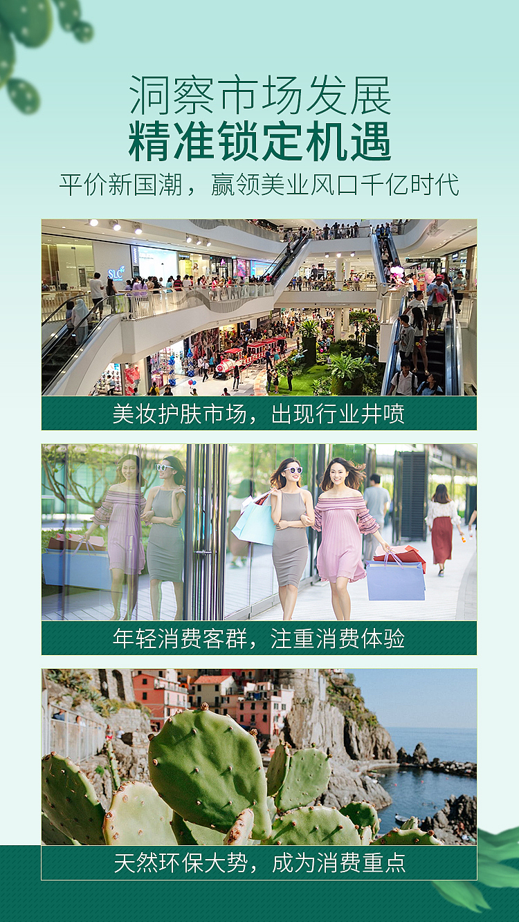 青刺菒化妆品 全案设计