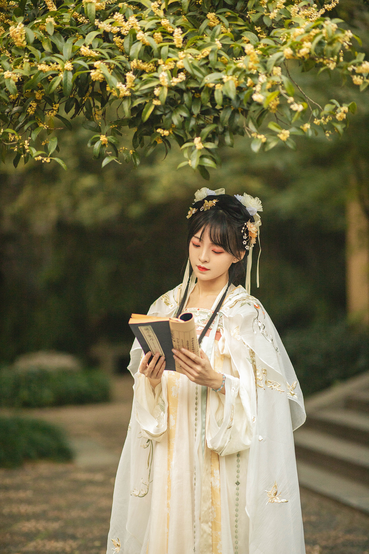 秋桂（图ZMjc2MjM3MzE2） - 人像摄影 - 站酷设计师黎夏Sweet原创素材 - 站酷ZCOOL