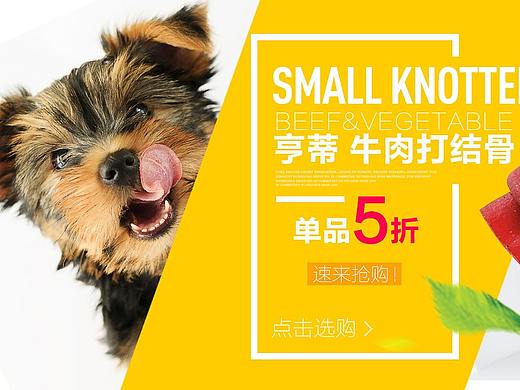 向莉——宠物店banner
