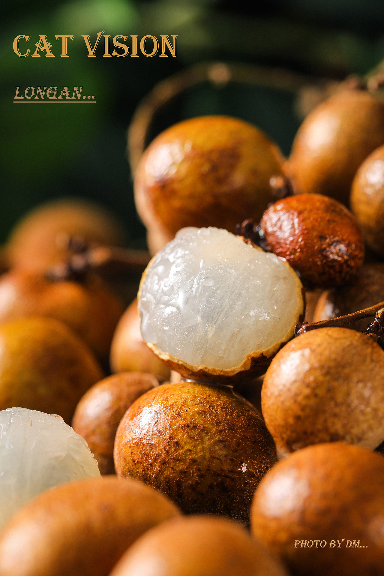 美食摄影|2021合集