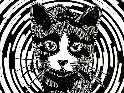 《猫空》