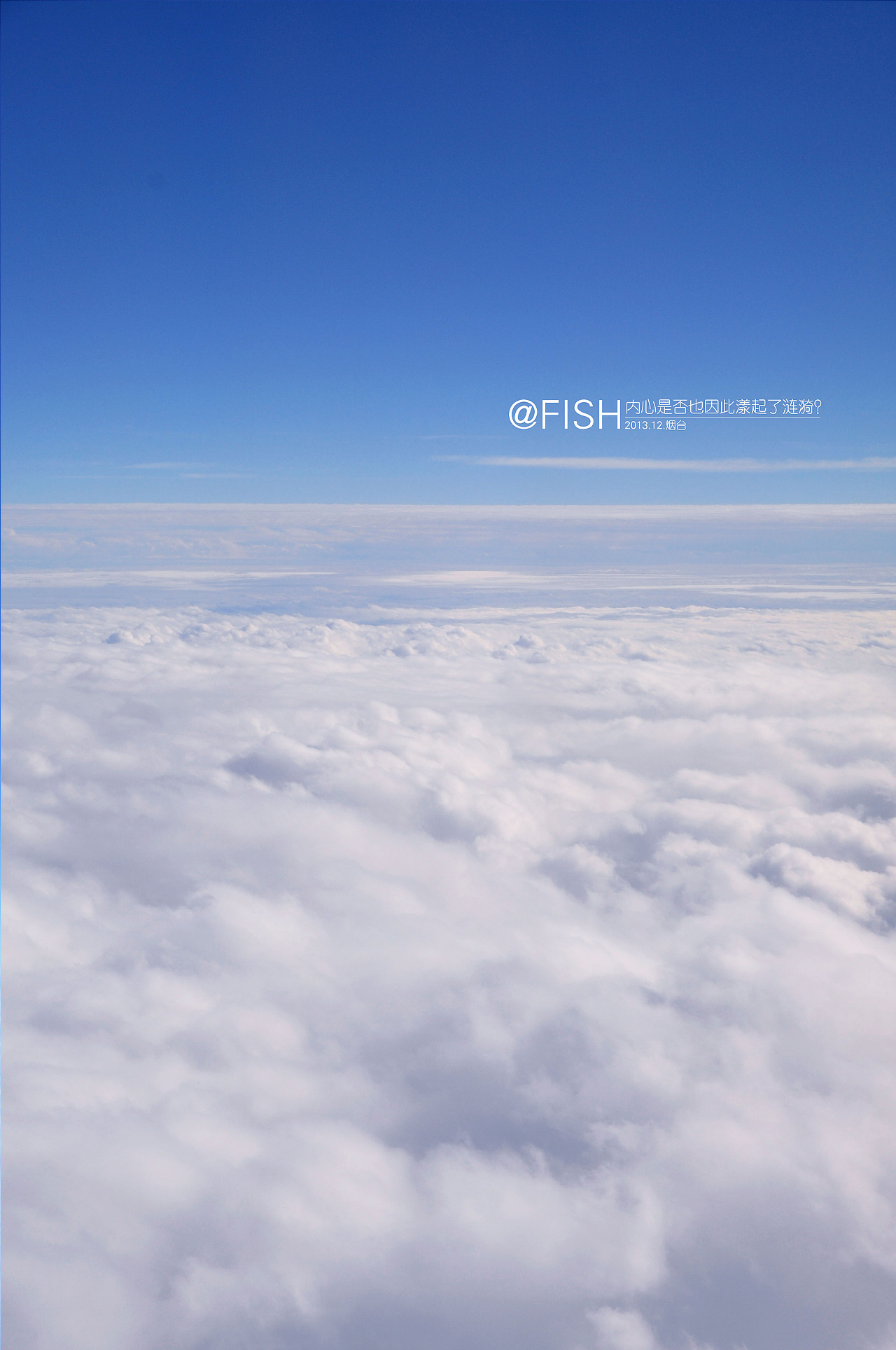 白与蓝,纯与静.