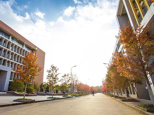 文华学院红枫（个人主页-ZMjU0NDE3OTI=） - 短片 - 站酷设计师xxccff原创素材 - 站酷ZCOOL