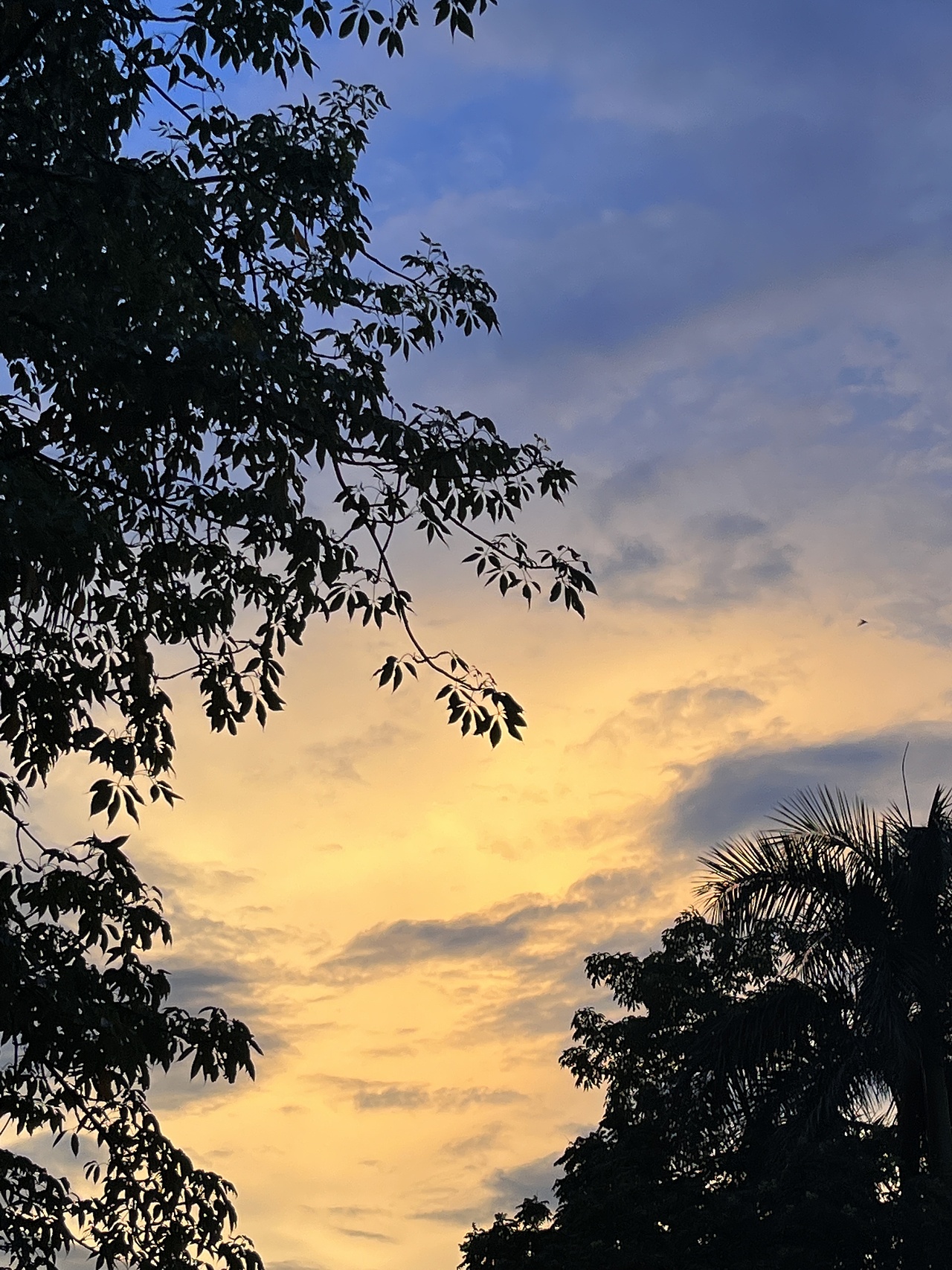 夏日晚霞（图ZMzE4MDI3Mjg0） - 风光摄影 - 站酷设计师生菜包饭真好吃啊原创素材 - 站酷ZCOOL