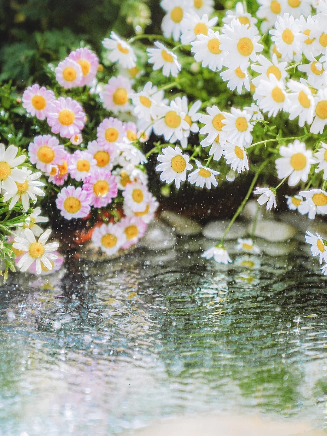 用镜子拍摄仙境水面