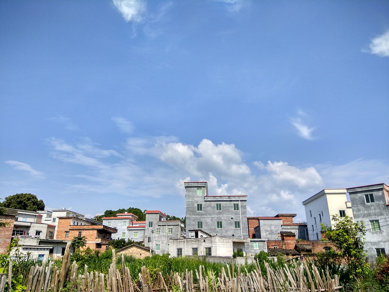 手机摄影(部分相机原片,手机后期)选集