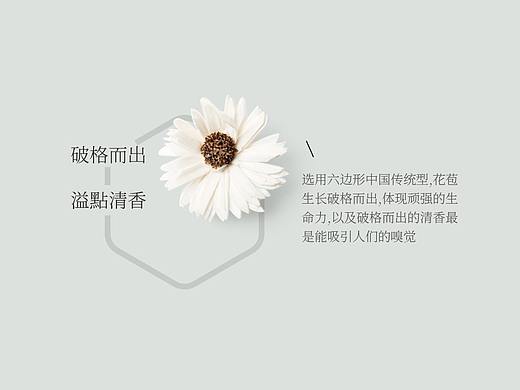 logo/一点花香/品牌提案