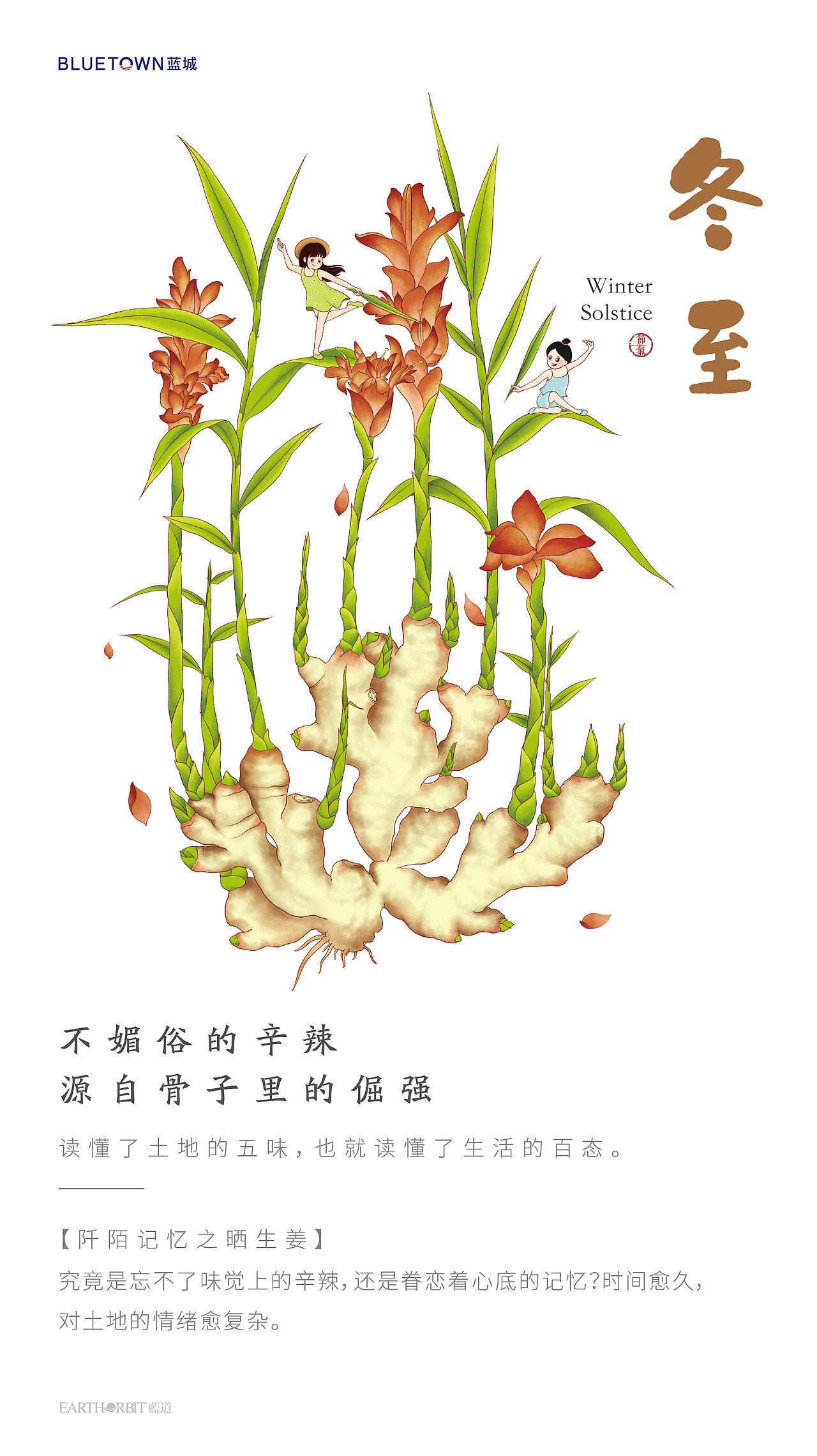 蓝城24节气之小镇之花（图ZMjMzNDI5MzA4） - 商业插画 - 站酷设计师黄的小茉原创素材 - 站酷ZCOOL