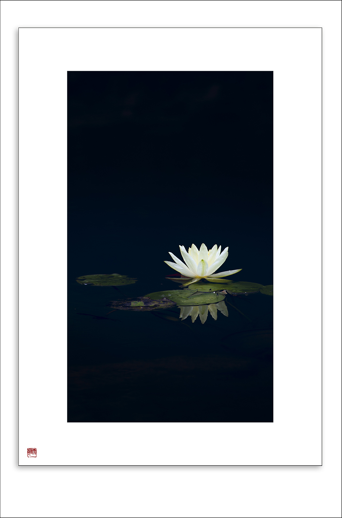 夏日物语（图ZNTQ2NTg0NzI=） - 风光摄影 - 站酷设计师雨萌1994原创素材 - 站酷ZCOOL