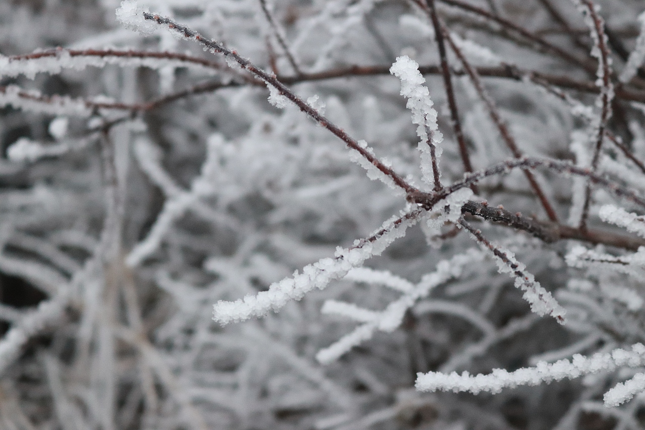 摄影 峨眉山（图ZMTY4MDM4MjA4） - 风光摄影 - 站酷设计师香菜小龍包原创素材 - 站酷ZCOOL