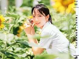 向日葵