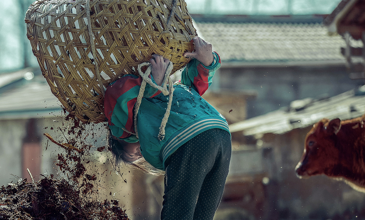 这个小女孩,是6个小孩的家庭里最大的姐姐,就读初中一年级,背篓里装着