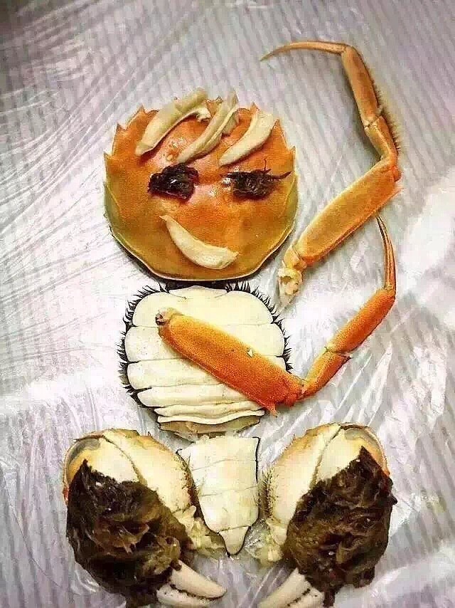 虎猫侠之《中秋节吃货的创意艺术》