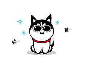 哈小齐的以往表情