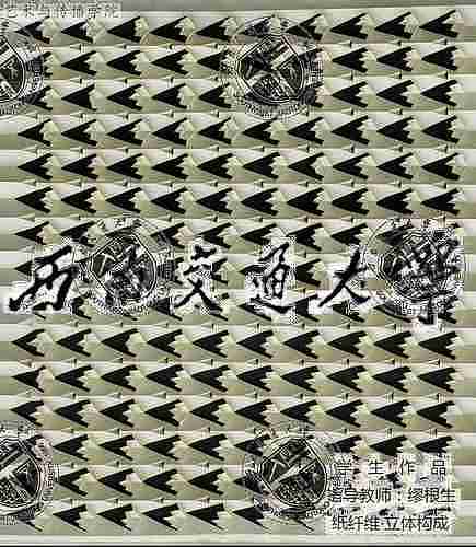 纸纤维   西南交通大学艺术与传播学院 艺术设计系 立体构成作品之二