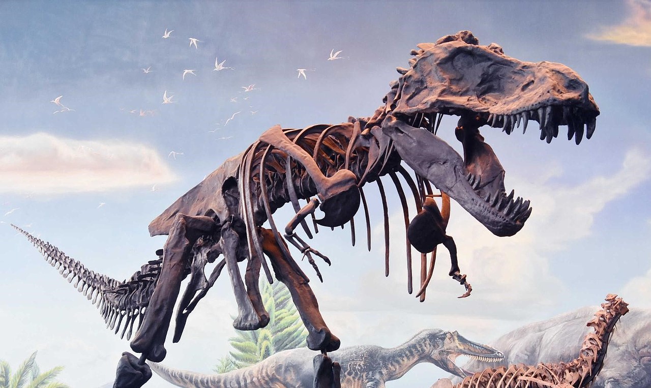 赣州市博物馆新馆标设计（方案二）（图ZMjYxMTA0Njcy） - Logo - 站酷设计师敬茂原创素材 - 站酷ZCOOL