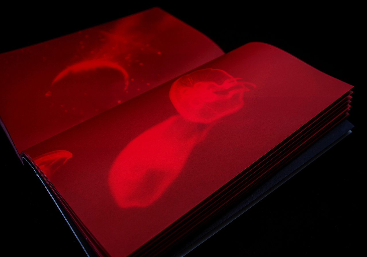 对黑暗习以为常 摄影集（图ZMzE5OTg0NDA0） - 书籍/画册 - 站酷设计师付诗意原创素材 - 站酷ZCOOL