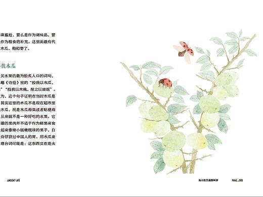 图书插画绘制