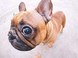 網(wǎng)頁-旅游