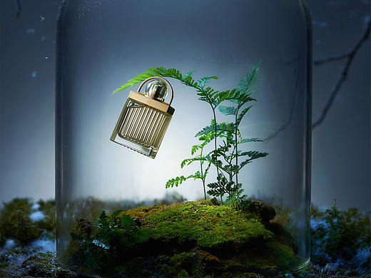 竺生老师小场景香水拍摄，植景拍摄，化妆品
