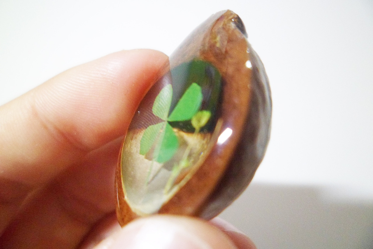 夏威夷果和AB胶--花草（图ZOTM5OTYyNDA=） - 生活用品 - 站酷设计师MK的店原创素材 - 站酷ZCOOL