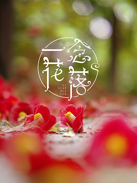 一念花开 / 一念花落