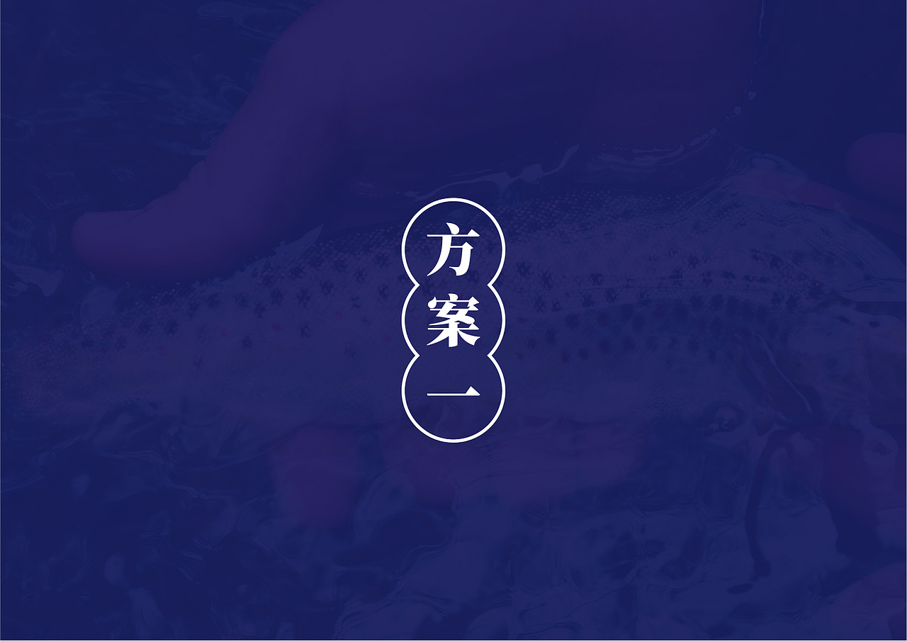 鱼麺王（图ZMTc4NDc1ODUy） - Logo - 站酷设计师灰石头原创素材 - 站酷ZCOOL