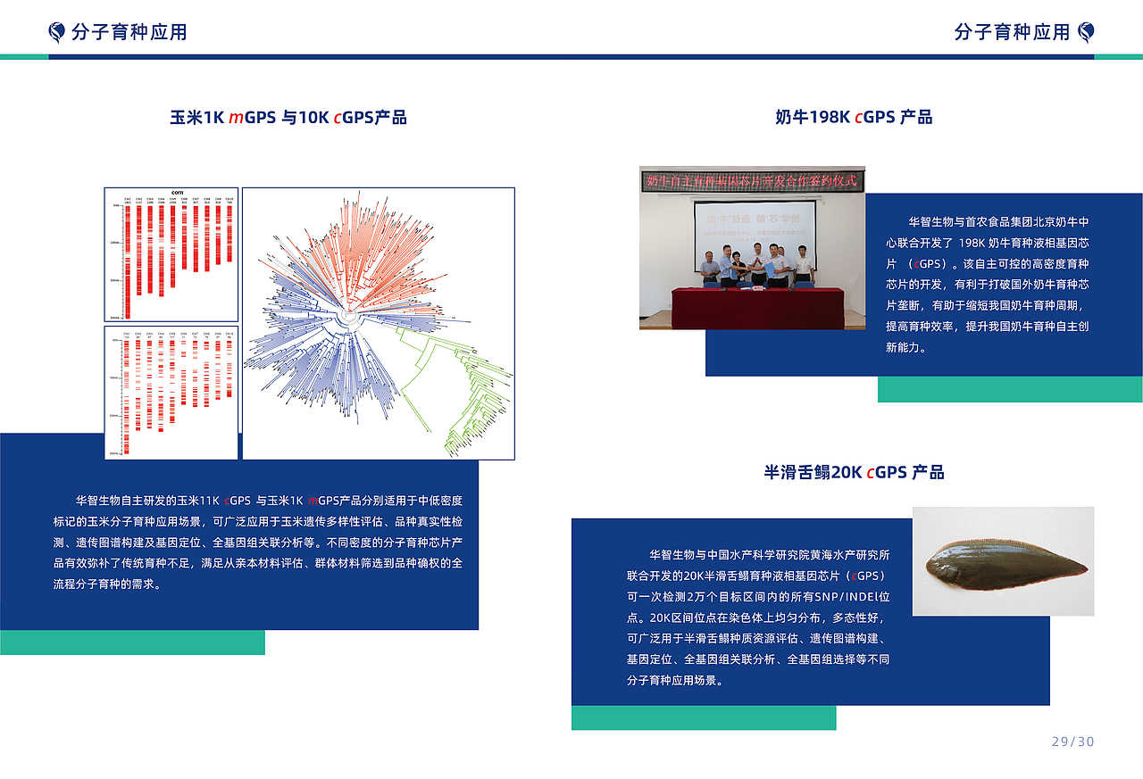 华智生物宣传册