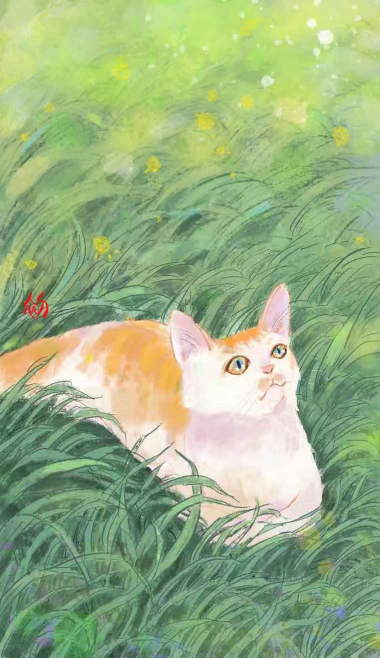猫咪系列 （二）（图ZMjYyNTU0NDA4） - 创作习作 - 站酷设计师一碗鲜肉小馄饨原创素材 - 站酷ZCOOL