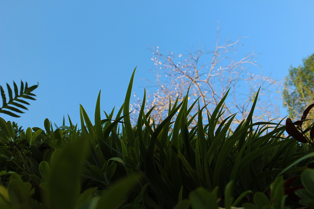 走进自然（图ZNjc3OTU4NDQ=） - 风光摄影 - 站酷设计师阿肉_原创素材 - 站酷ZCOOL