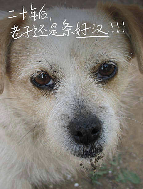 我结交了一群新朋友（图ZMjc2MjE0NzY=） - 文案/策划 - 站酷设计师画师x如也原创素材 - 站酷ZCOOL