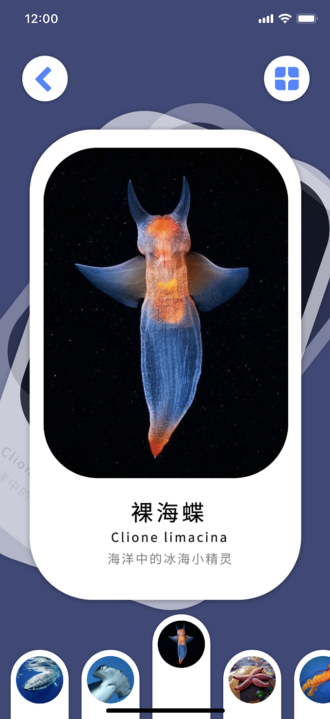 北冥APP概念交互设计