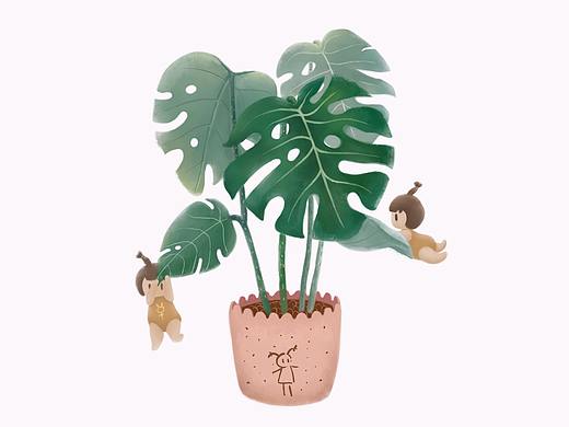 Q版简约植物插画习作