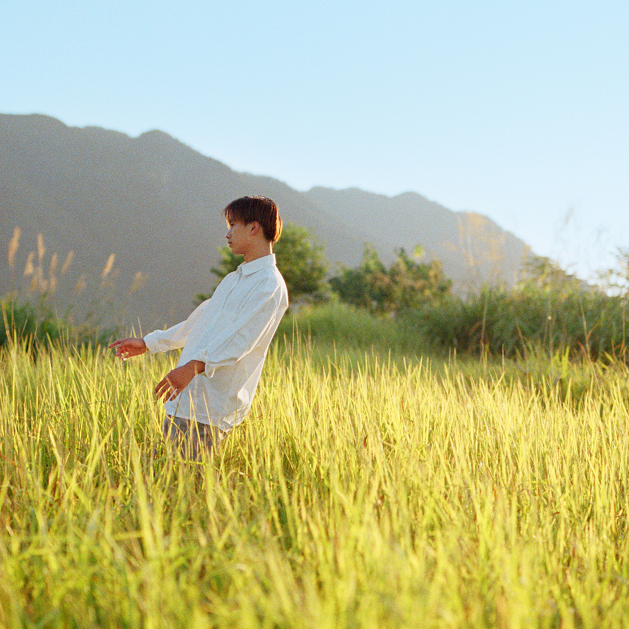 秋尋（圖ZMjI1MDA2ODY4） - 人像攝影 - 站酷設(shè)計(jì)師長(zhǎng)腿老頭Art原創(chuàng)素材 - 站酷ZCOOL