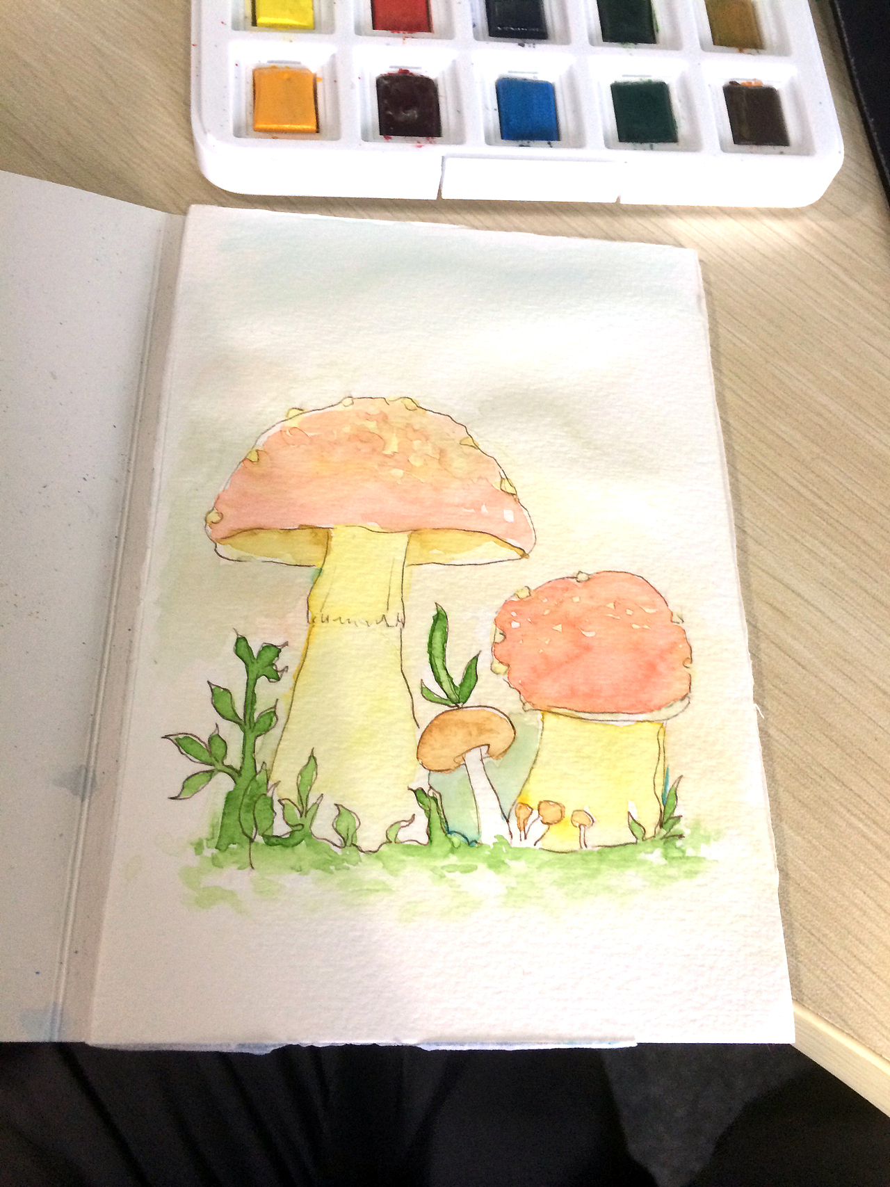 铺底色,此时此刻一定要多加水控制水量,好了之后等干