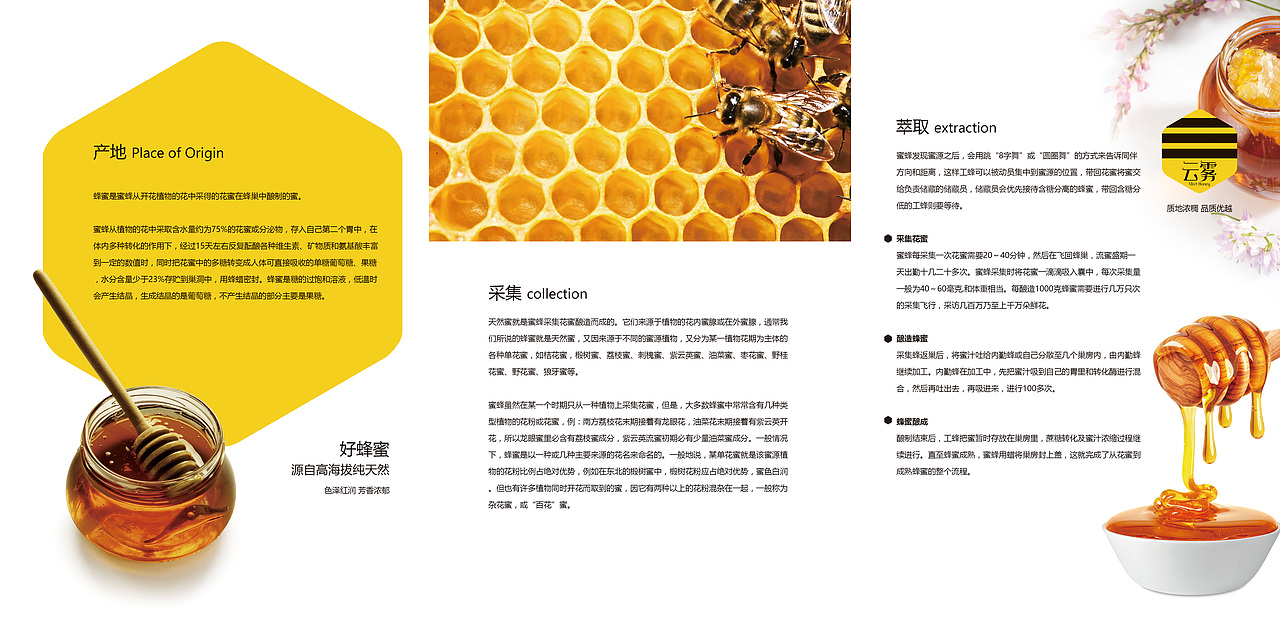 一组蜂蜜折页（图ZMTA5MDM4OTc2） - 宣传物料 - 站酷设计师酷酷的丸子原创素材 - 站酷ZCOOL