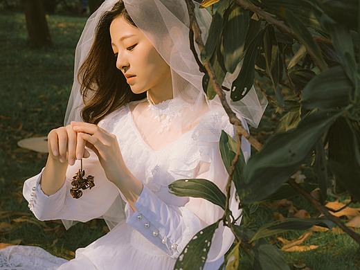 各有各自的光芒