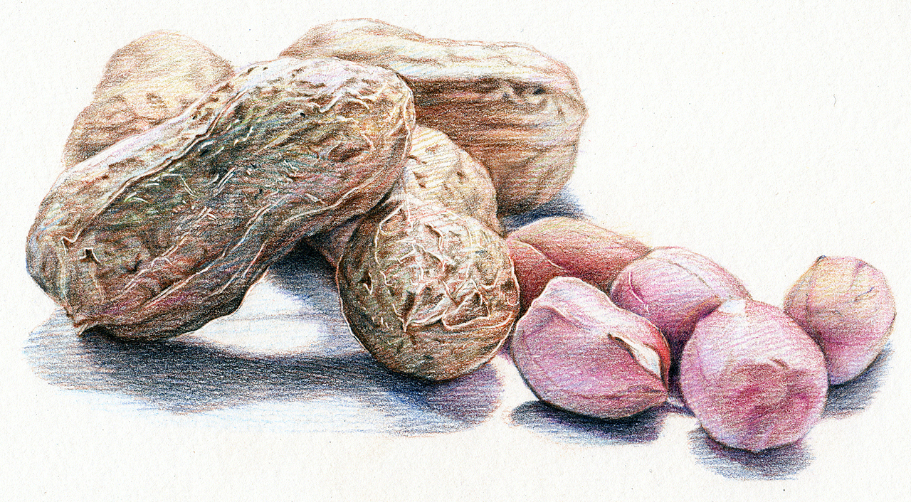 2012~2013彩铅画磨笔小品汇总(图ZMzQwNTcxNDg=) - 绘画 - 站酷设计师超超的青葱原创素材 - 站酷ZCOOL